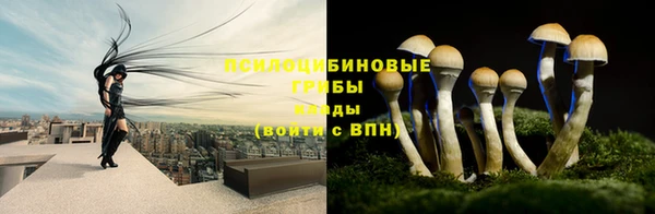 спайс Баксан