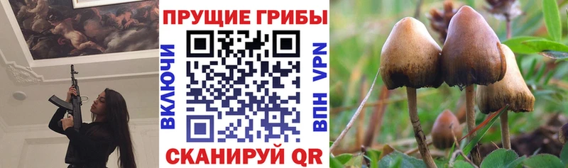 Псилоцибиновые грибы GOLDEN TEACHER  Беломорск 